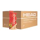 Head Red (Stage 3) 24 x 3B